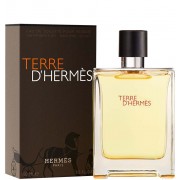 Hermes Terre D`Hermes edt 100 ml 